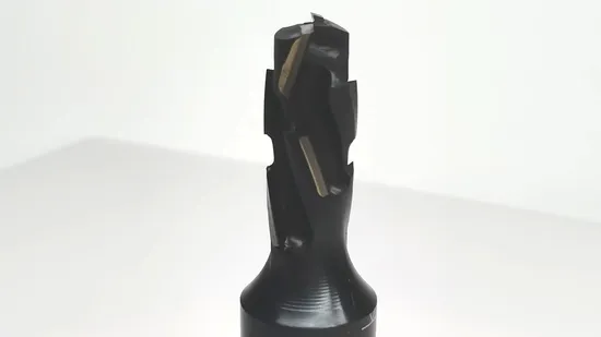 Durable Diamond Cutter in Spiral Design, Router Bit Z2+2